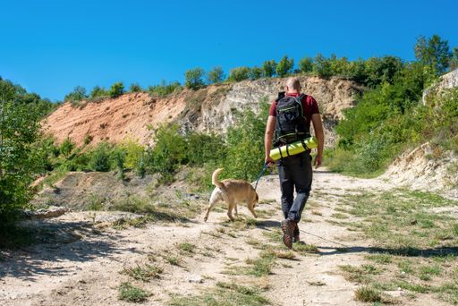 A young Caucasian male tourist exploring beautiful places with his dog