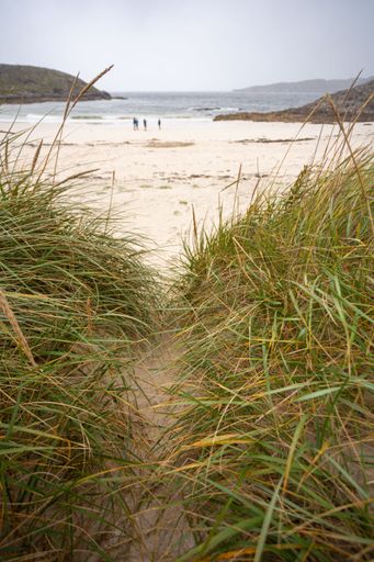 A vertical shot of a small path in the grass with people relaxing at the sandy beach in the background