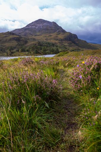 A vertical shot of a beautiful meadow with a lake and mountains in the background on a gloomy day
