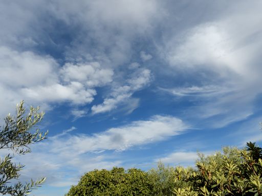 A low angle shot of scenic and cloudy sky