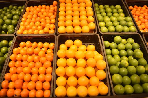 A Closeup picture of Oranges kept in Trays for sale at a grocery shop. They are food rich in Vitamin C.