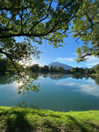 A vertical shot of a lake surrounded by trees and vegetation with a mountain in the background