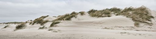 A panorama of a hill covered in grass in the middle of a sandy beach