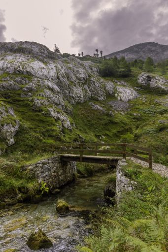 A vertical shot of a small bridge over a river