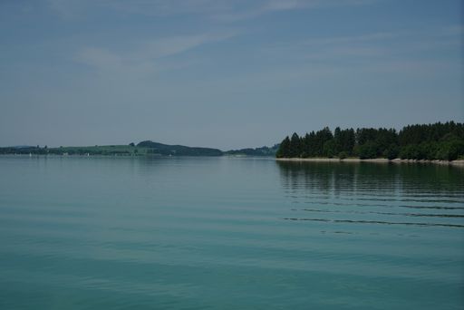 A beautiful shot of a calm sea surrounded by greenery during a daytime