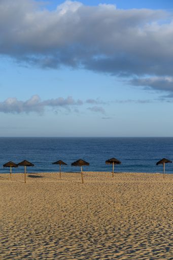A vertical shot of black straw umbrellas on a calm empty beach