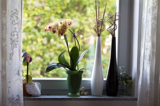 The Orchids and decorative vases on a window sill