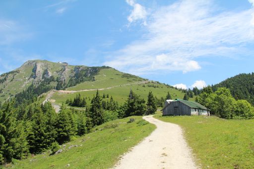 The high mountains covered in greens under the blue sky