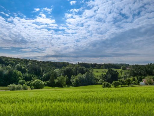 A scenic shot of grass fields with trees under a cloudy blue sky