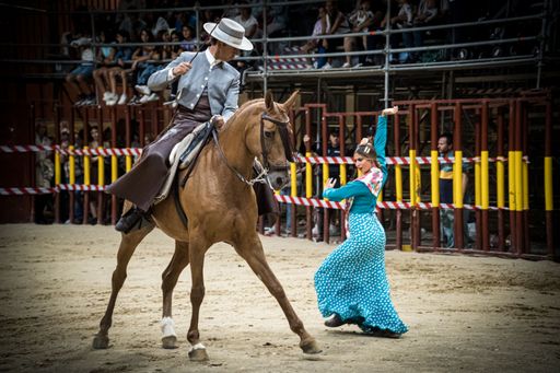 Equestrian show passion and duende of the Andalusian horse in the arganda del rey bullring.