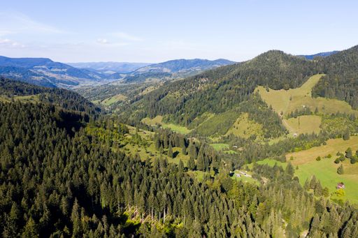Stunning view of layered mountain ranges covered with dense pine forest and green valley under blue sky on sunny day