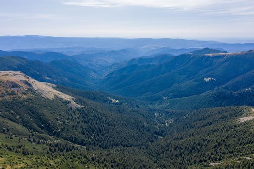 Stunning view of layered mountain ranges covered with dense pine forest and green valley under blue sky on sunny day