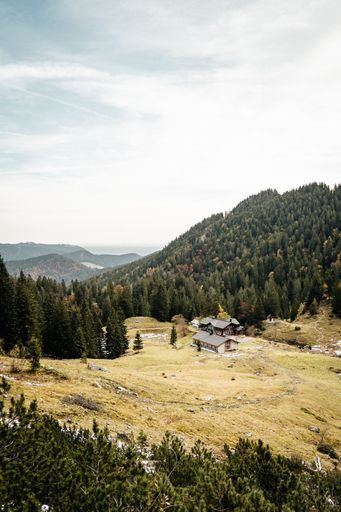 A vertical shot of buildings surrounded by a forest on a rocky mountain
