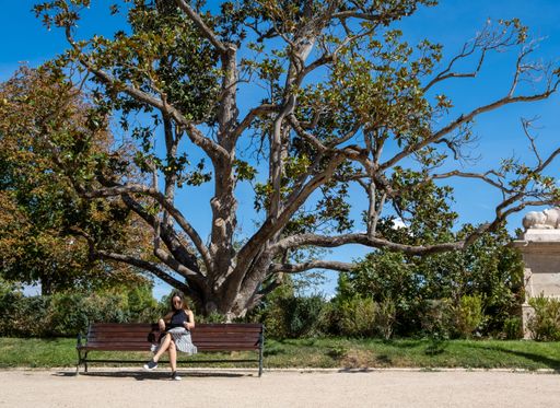 A Young fashionable woman with sunglasses in summer clothes sitting on a bench in the park relaxing