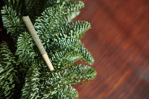 A closeup shot of a marijuana blunt on the branches of a Christmas tree