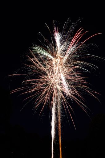 A vertical shot of a beautiful firework exploding on black background
