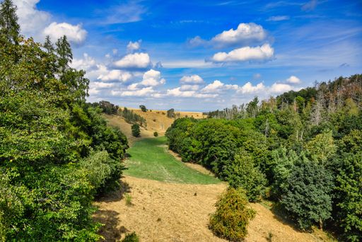 A view of the valley in the Hohe Schrecke forest in summer