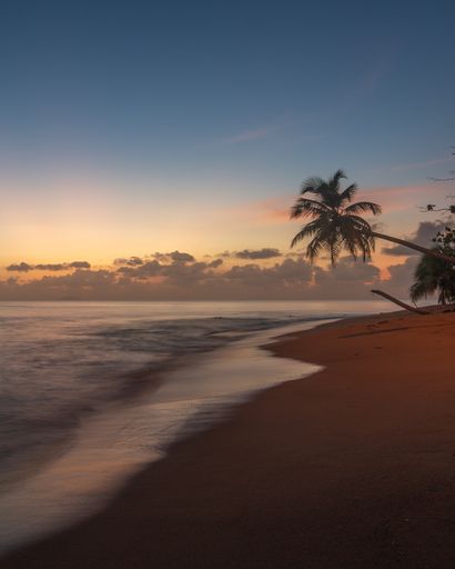 A vertical shot of tropical sandy beach during the sunset