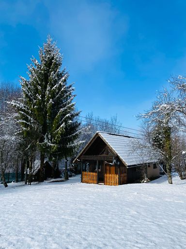 A vertical shot of a winter view with a small, wooden house a snowy fire tree around, and sky background