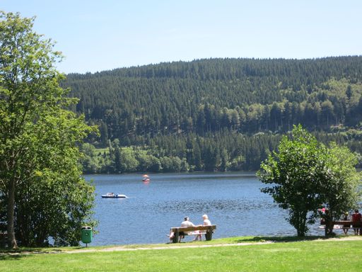 a couple sitting on a bench in a stunning park surrounded by water and trees