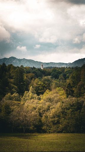 A vertical shot of a forest and a tower with mountains in the background against a cloudy sky