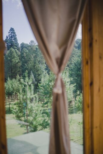 A selective focus of a green garden seen from a panoramic window with a beige curtain