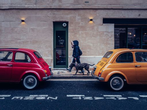 A person walking with a dog on the streets of Nantes in France