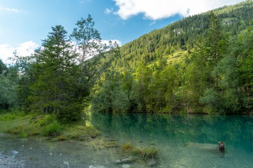 A breathtaking view of the Lake Plansee with the reflection dense green trees in Tyrol, Austria