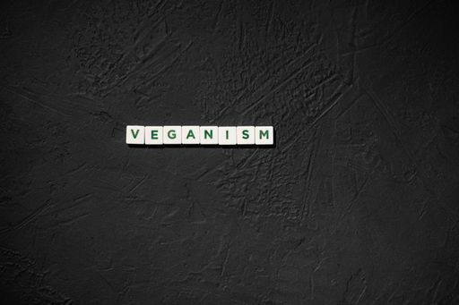 A set of white cubes with the word veganism on a rough black background