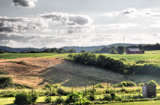 A rural landscape of a field surrounded by trees under a cloudy sky on a sunny day