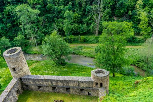 A high angle shot of trees from the Eltz Castle in Wierschem, Germany