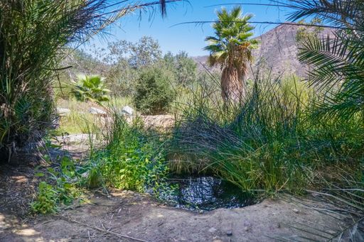 A small soaking pool is one of the remaining natural features at the site of the abandoned San Juan Hot Springs in southern Orange County.