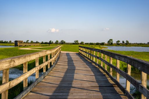 The view of a wooden dock leading to the green fields by the river under the blue sky