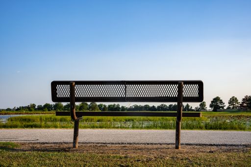 The view of an empty bench by the sidewalk of a  park under the blue sky