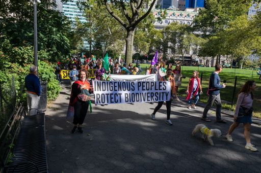 A crowd of students march to declare a Climate Emergency at Youth Climate Strike