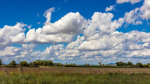 Countryside landscape scene with sheep clouds