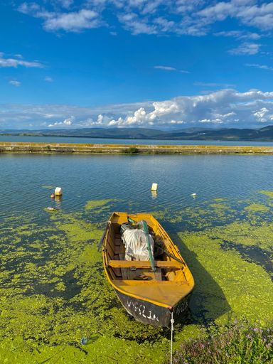 A vertical shot of a boat in a lake in Golubac, Serbia