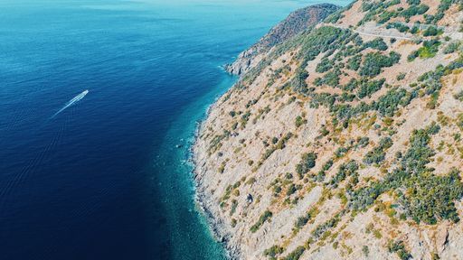 An island covered in greenery surrounded by the sea under the sunlight at daytime