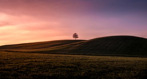 A scenic shot of a tree on top of hills in a field during dusk