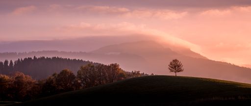 An amazing shot of mountain silhouettes and vegetation at dawn