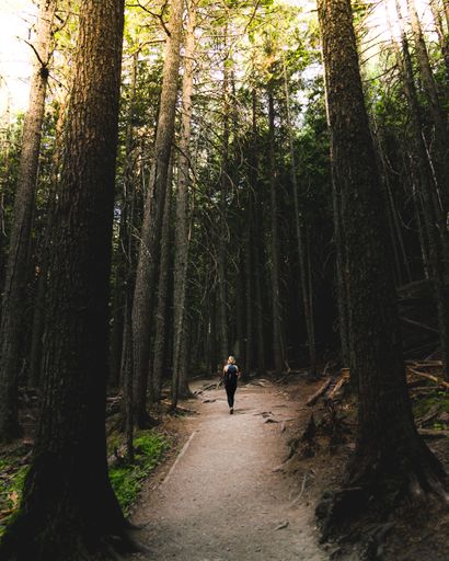 A female hiker in a backpack walking on a narrow road in the woods