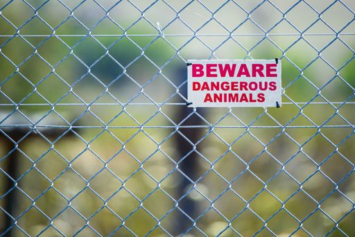 A selective focus of a small board with the text "Beware Dangerous Animals" on the metallic net with blurred background