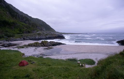 Noss, Norway - July 13, 2022: a Robens red tent in Sandvika beach (Strand i Borra) in Nordland county. Firecamp. Sheep on the seashore. Road