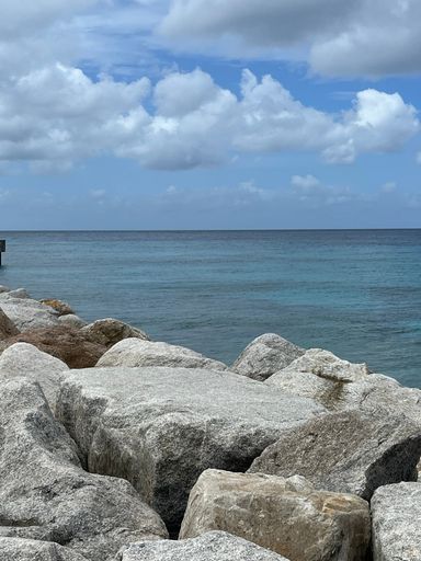 A vertical shot of a rocky seashore