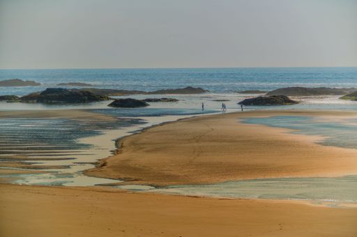 A beautiful view of People walking on a beach in Tofino Vancouver Island, British Columbia, Canada
