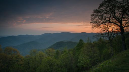 A majestic shot of a densely forested layered mountain range in the countryside