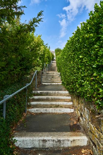 A vertical of the St Albans Steps in Ventnor on the Isle of Wight surrounded by green vegetation