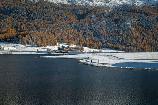 A scenic view of lake and pine forest against the background of snow capped mountains in winter