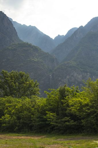 A landscape of green bushes on lawns under foggy green mountains, vertical shot