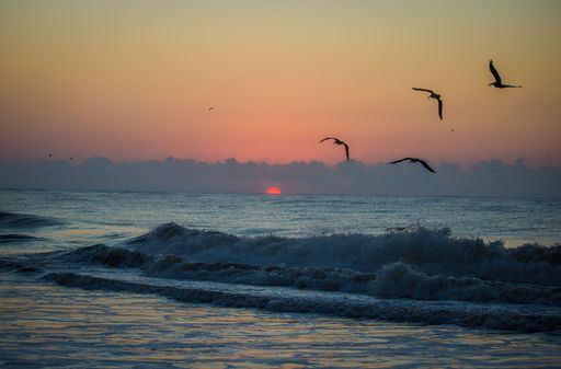 A beautiful view of birds flying over the sea with small waves during sunset